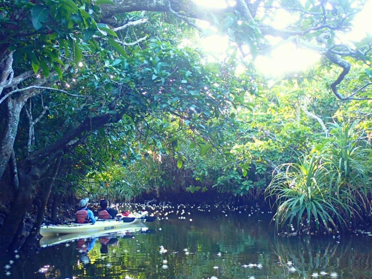 Villa Unarizaki Urauchi Bagian luar foto